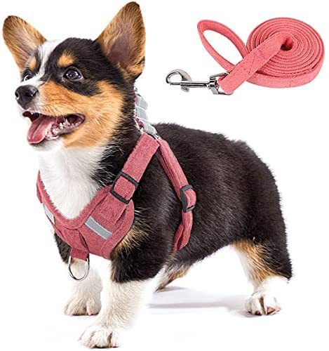 HKM-709843 Reflective No-Pull Dog Harness with LED Lights and Adjustable Comfort Strap