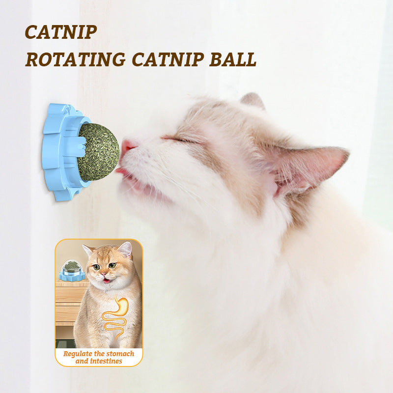 HKM-712467 Catnip Molar Toy for Cats – Mint & Polygonum Multiflorum Flavors, Colorful Design