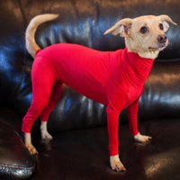 HKM-712595 Thick Acrylic Fiber Dog Jumpsuit for Medium to Large Dogs - Stylish Pajamas for Warmth and Comfort