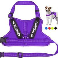HKM-714131 Personalized Pet Harness with Adjustable Fit and Durable Materials