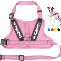 HKM-714131 Personalized Pet Harness with Adjustable Fit and Durable Materials