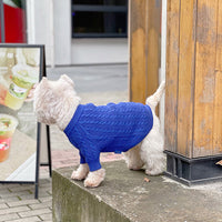 HKM-714515 Warm Woolen Bichon Corgi Winter Sweater in Blue for Large to 3XL Pets