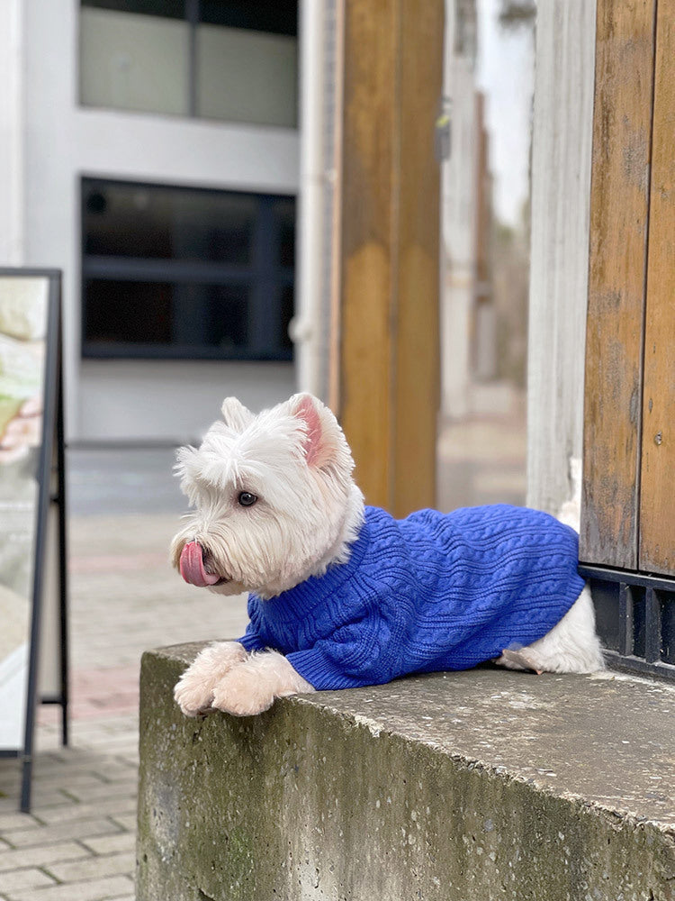 HKM-714515 Warm Woolen Bichon Corgi Winter Sweater in Blue for Large to 3XL Pets