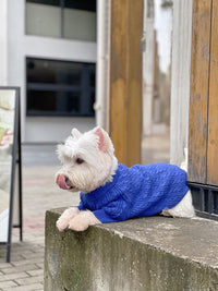 HKM-714515 Warm Woolen Bichon Corgi Winter Sweater in Blue for Large to 3XL Pets
