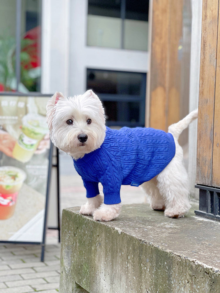 HKM-714515 Warm Woolen Bichon Corgi Winter Sweater in Blue for Large to 3XL Pets