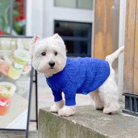 HKM-714515 Warm Woolen Bichon Corgi Winter Sweater in Blue for Large to 3XL Pets