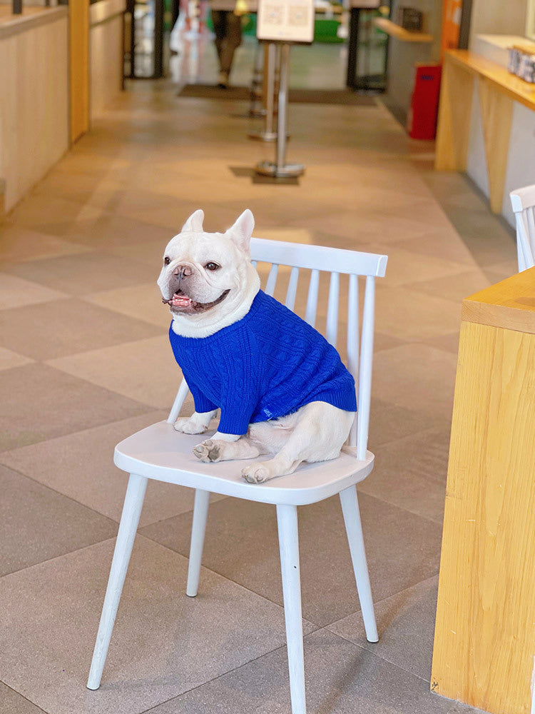 HKM-714515 Warm Woolen Bichon Corgi Winter Sweater in Blue for Large to 3XL Pets