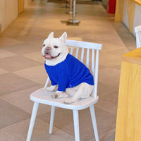 HKM-714515 Warm Woolen Bichon Corgi Winter Sweater in Blue for Large to 3XL Pets