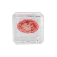 HKM-715731 Summer Fruit-Themed Frozen Dog Chew Toy - Watermelon, Pineapple, Ice Cream & More