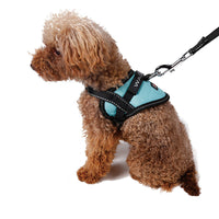 HKM-716435 Reflective Dog Seat Belt Harness with Traction Leash for Small Breeds