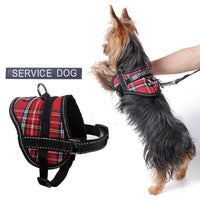HKM-716435 Reflective Dog Seat Belt Harness with Traction Leash for Small Breeds