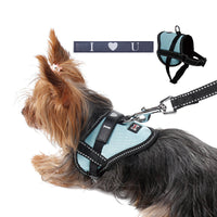 HKM-716435 Reflective Dog Seat Belt Harness with Traction Leash for Small Breeds