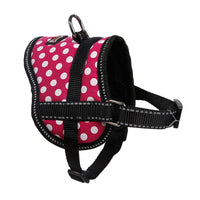 HKM-716435 Reflective Dog Seat Belt Harness with Traction Leash for Small Breeds