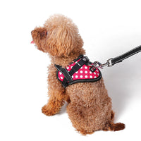 HKM-716435 Reflective Dog Seat Belt Harness with Traction Leash for Small Breeds