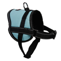 HKM-716435 Reflective Dog Seat Belt Harness with Traction Leash for Small Breeds