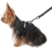 HKM-716435 Reflective Dog Seat Belt Harness with Traction Leash for Small Breeds