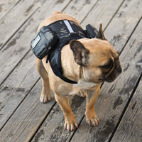 HKM-717587 Multi-Functional Portable Pet Backpack with Leash, Nylon Material, Stylish Design, Available in S and L Sizes