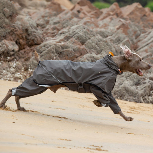 HKM-717715 Waterproof Pet Poncho for Medium to Large Dogs – Dark Khaki and Dark Blue Options
