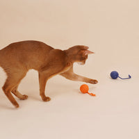 HKM-721875 Cat Teaser Stick with Bite-Resistant Catnip Ball for Playful Kittens and Pets