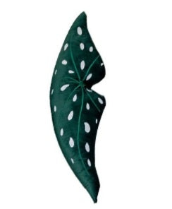 HKM-722067 White Brocade Monstera Lumbar Pillow - Modern Alien Shape Cushion with PP Cotton Filling, 35x38 cm