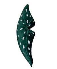 HKM-722067 White Brocade Monstera Lumbar Pillow - Modern Alien Shape Cushion with PP Cotton Filling, 35x38 cm