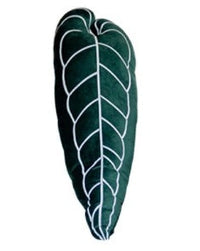 HKM-722067 White Brocade Monstera Lumbar Pillow - Modern Alien Shape Cushion with PP Cotton Filling, 35x38 cm