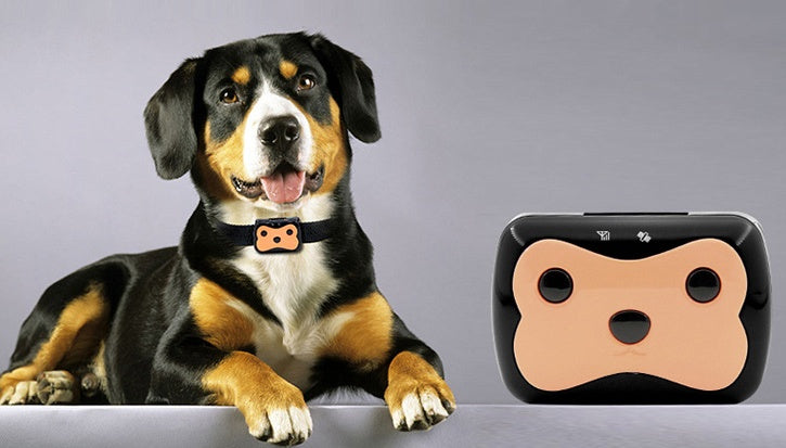 HKM-722579 Mini GPS Pet Locator with Adjustable Length and Remote Monitoring Features