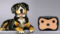 HKM-722579 Mini GPS Pet Locator with Adjustable Length and Remote Monitoring Features