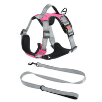 HKM-723347 Rope Vest Dog Chest Strap with Hand Holding Rope in Multiple Color Options