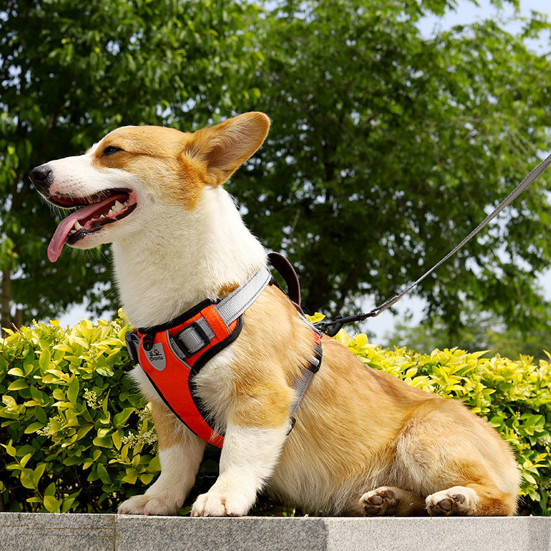 HKM-723347 Rope Vest Dog Chest Strap with Hand Holding Rope in Multiple Color Options