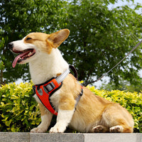 HKM-723347 Rope Vest Dog Chest Strap with Hand Holding Rope in Multiple Color Options