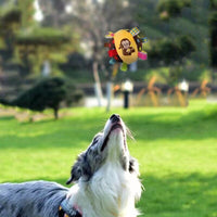 HKM-724755 Pet Dog Vocal Plush Toy Ringing Bell Ball