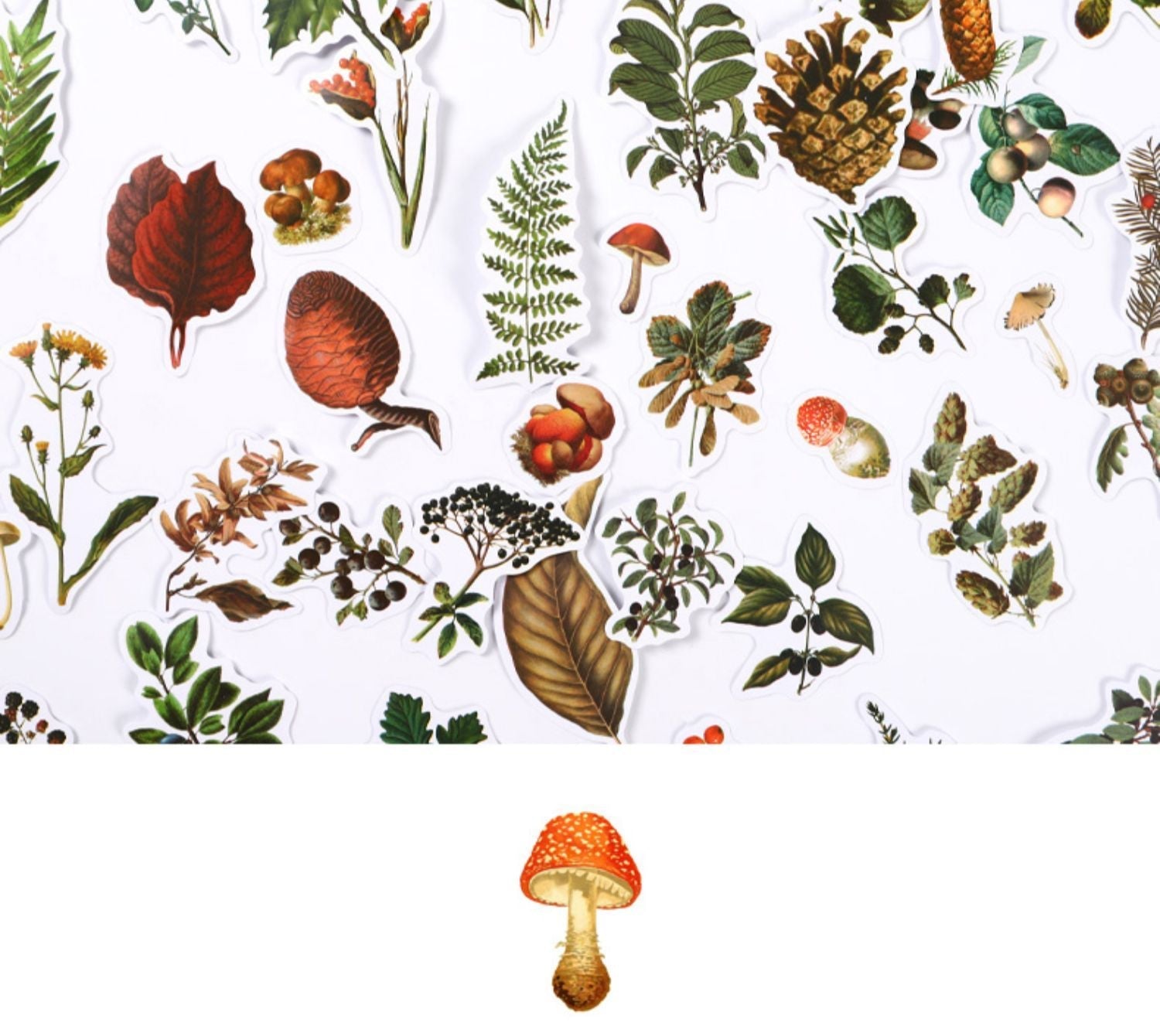 HKM-726227 Self-Adhesive Forest Mushroom Stickers for Celebrations and Crafting