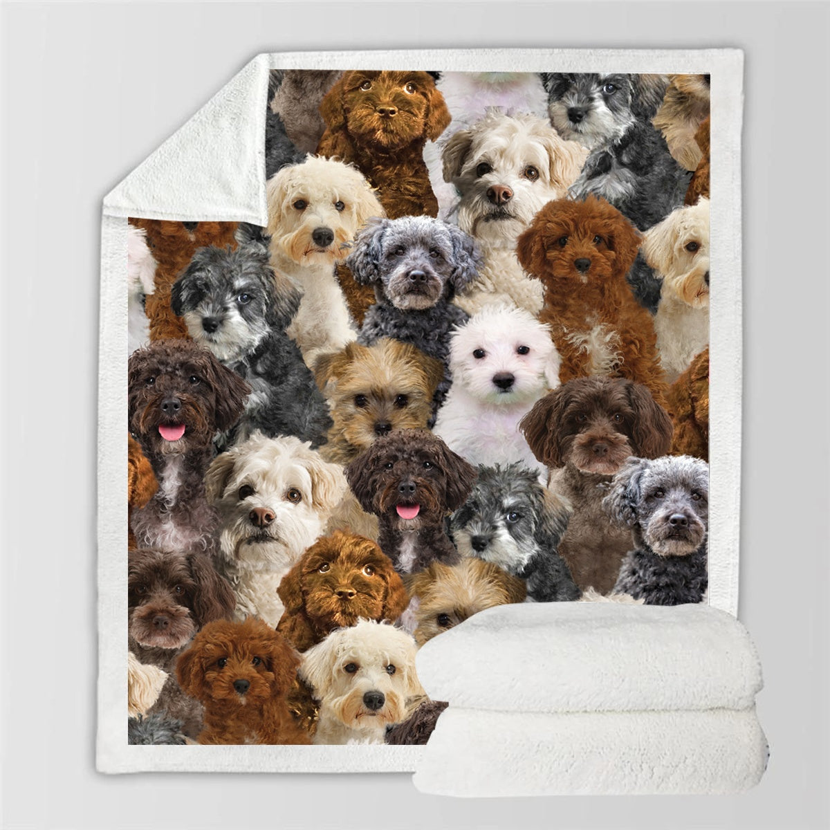 HKM-728595 Modern Printed Flannel Blanket for Pets - Available in Two Sizes