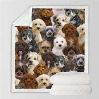 HKM-728595 Modern Printed Flannel Blanket for Pets - Available in Two Sizes