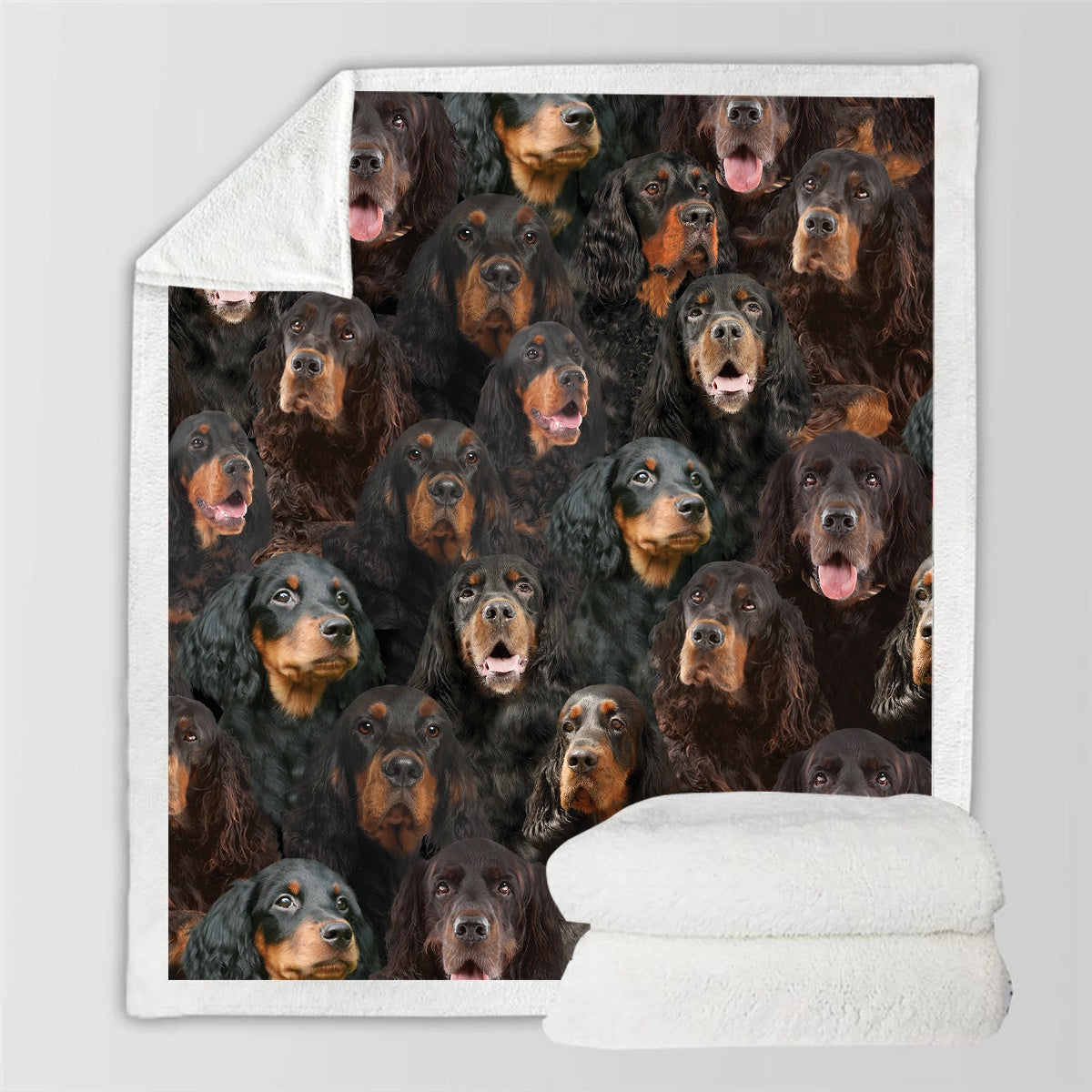 HKM-728595 Modern Printed Flannel Blanket for Pets - Available in Two Sizes