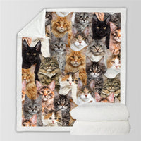 HKM-728595 Modern Printed Flannel Blanket for Pets - Available in Two Sizes