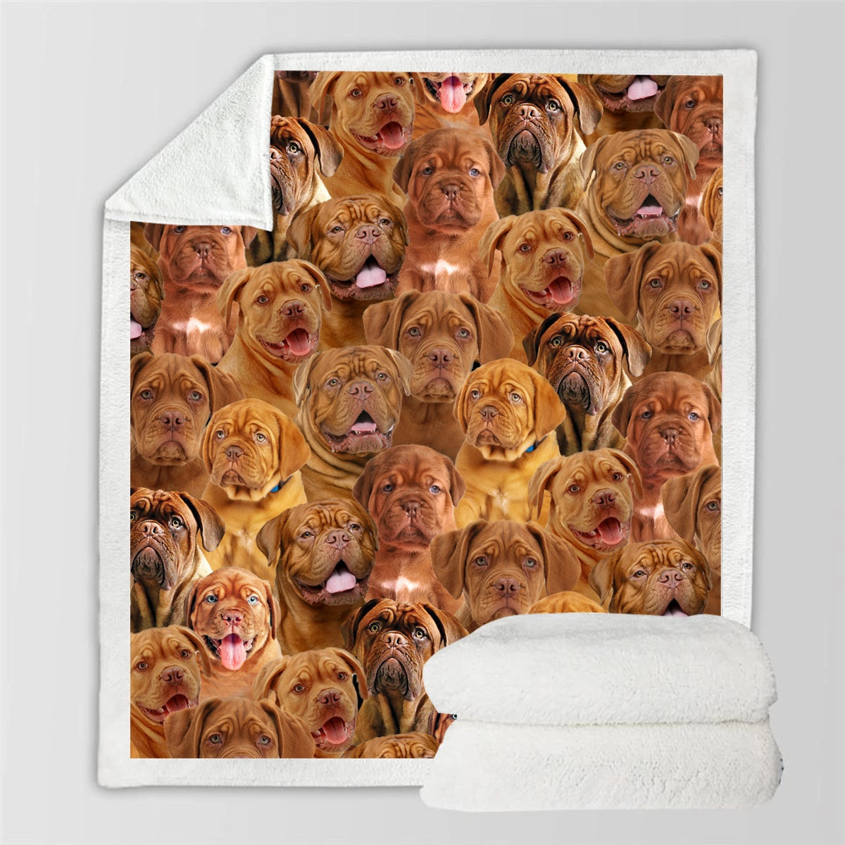 HKM-728595 Modern Printed Flannel Blanket for Pets - Available in Two Sizes