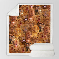 HKM-728595 Modern Printed Flannel Blanket for Pets - Available in Two Sizes