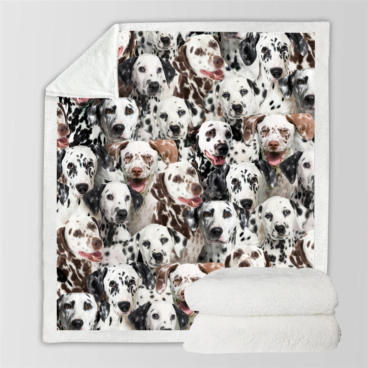 HKM-728595 Modern Printed Flannel Blanket for Pets - Available in Two Sizes