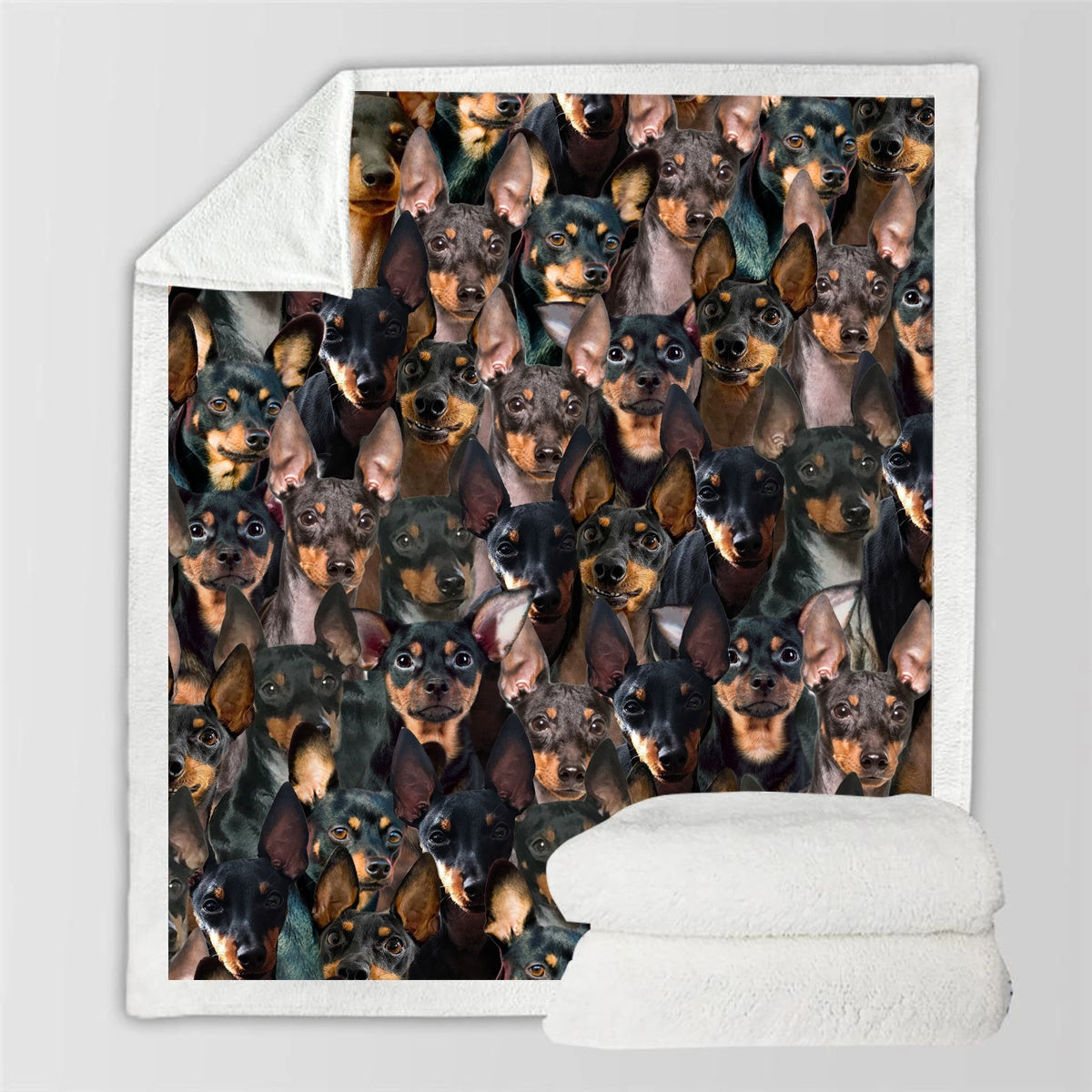 HKM-728595 Modern Printed Flannel Blanket for Pets - Available in Two Sizes