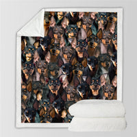 HKM-728595 Modern Printed Flannel Blanket for Pets - Available in Two Sizes