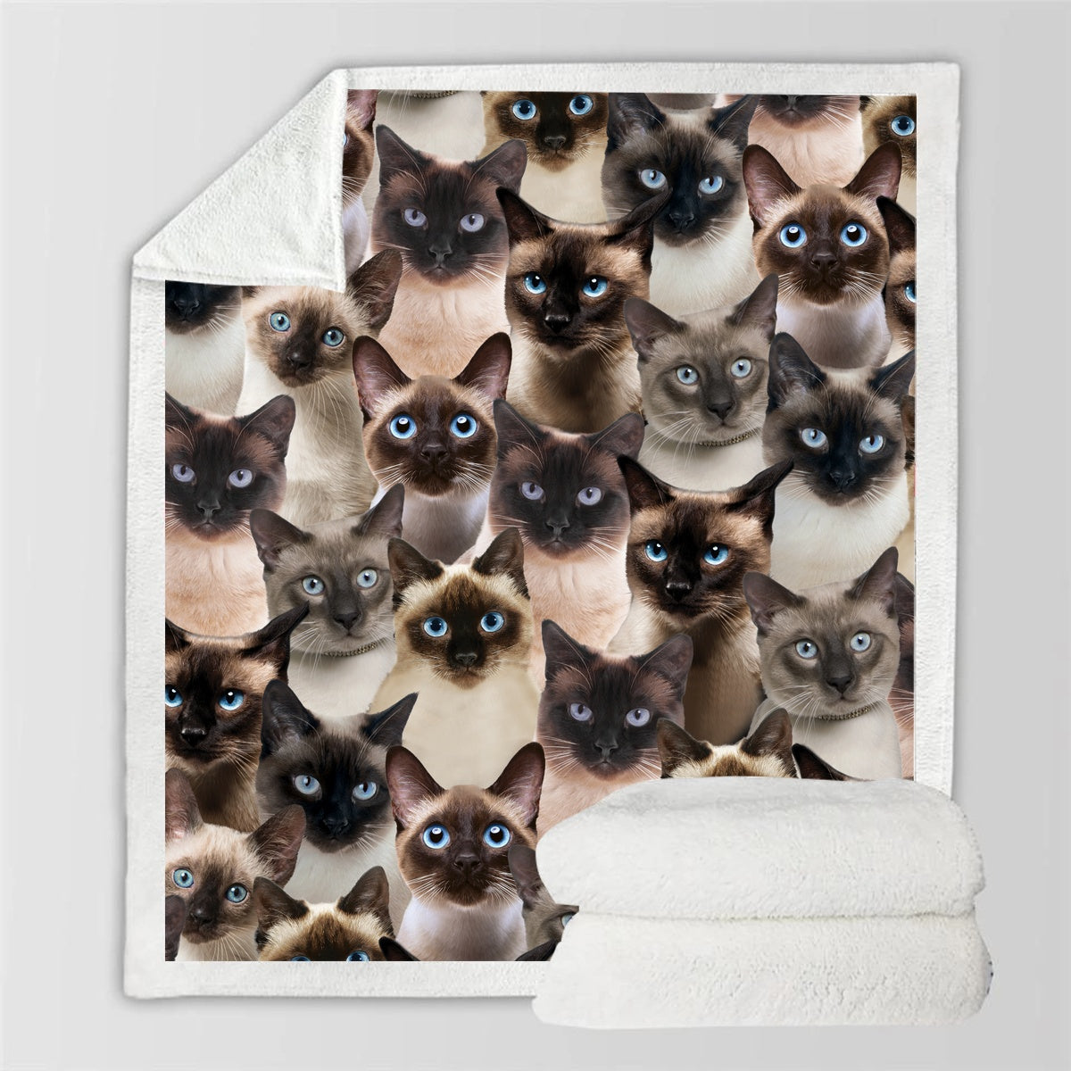 HKM-728595 Modern Printed Flannel Blanket for Pets - Available in Two Sizes