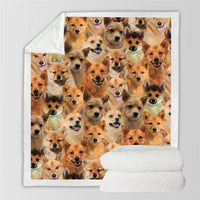 HKM-728595 Modern Printed Flannel Blanket for Pets - Available in Two Sizes