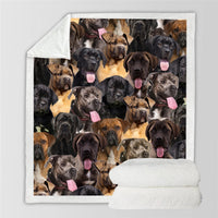 HKM-728595 Modern Printed Flannel Blanket for Pets - Available in Two Sizes