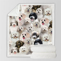 HKM-728595 Modern Printed Flannel Blanket for Pets - Available in Two Sizes