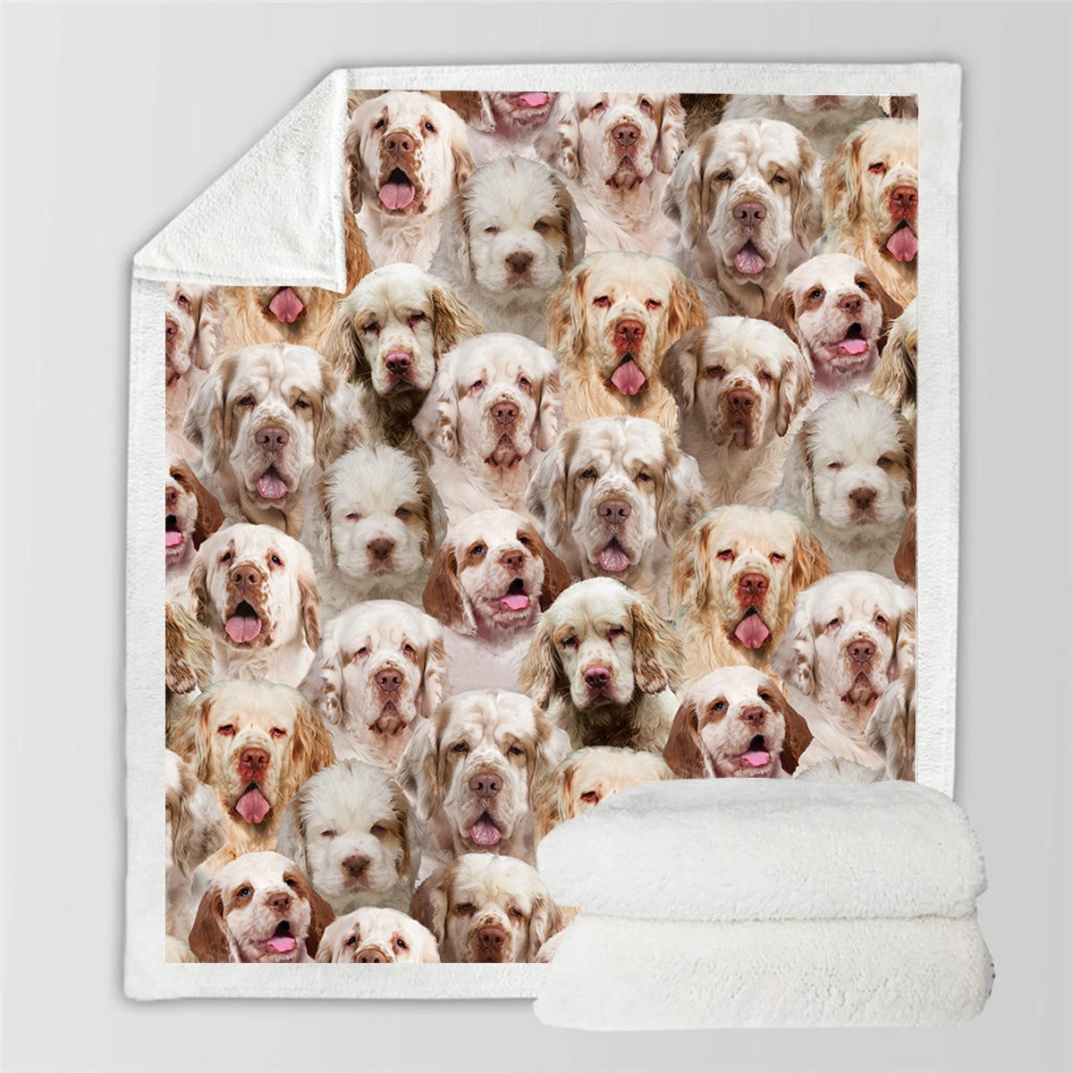 HKM-728595 Modern Printed Flannel Blanket for Pets - Available in Two Sizes