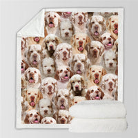 HKM-728595 Modern Printed Flannel Blanket for Pets - Available in Two Sizes