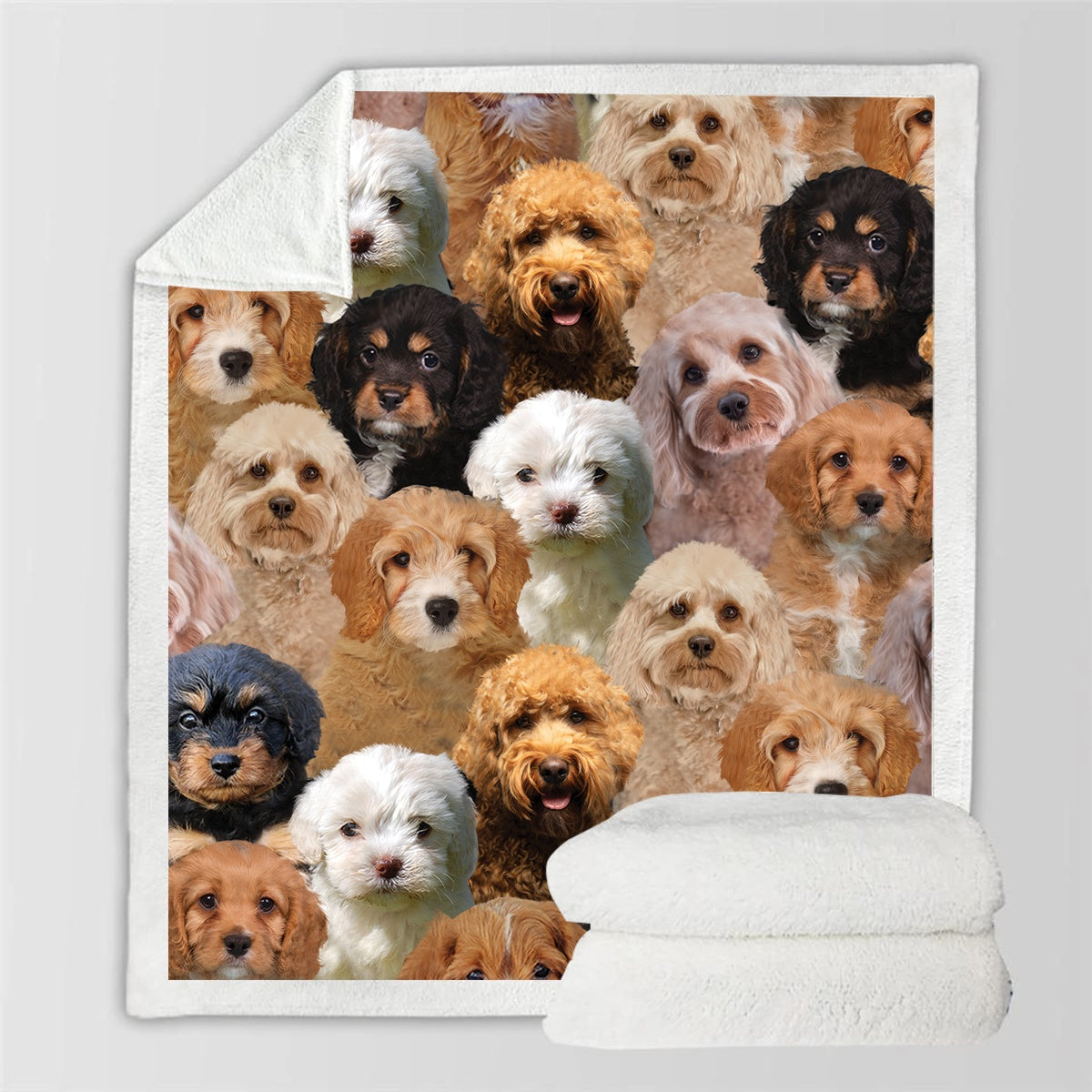 HKM-728595 Modern Printed Flannel Blanket for Pets - Available in Two Sizes