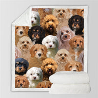 HKM-728595 Modern Printed Flannel Blanket for Pets - Available in Two Sizes